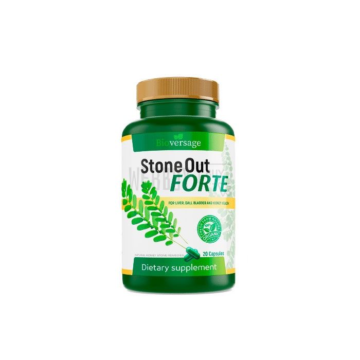 Stone Out Forte | 肾脏疾病的补救措施