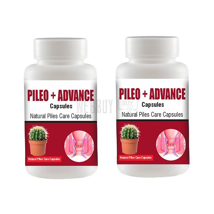 Pileo + Advance | হেমোরয়েডের প্রতিকার